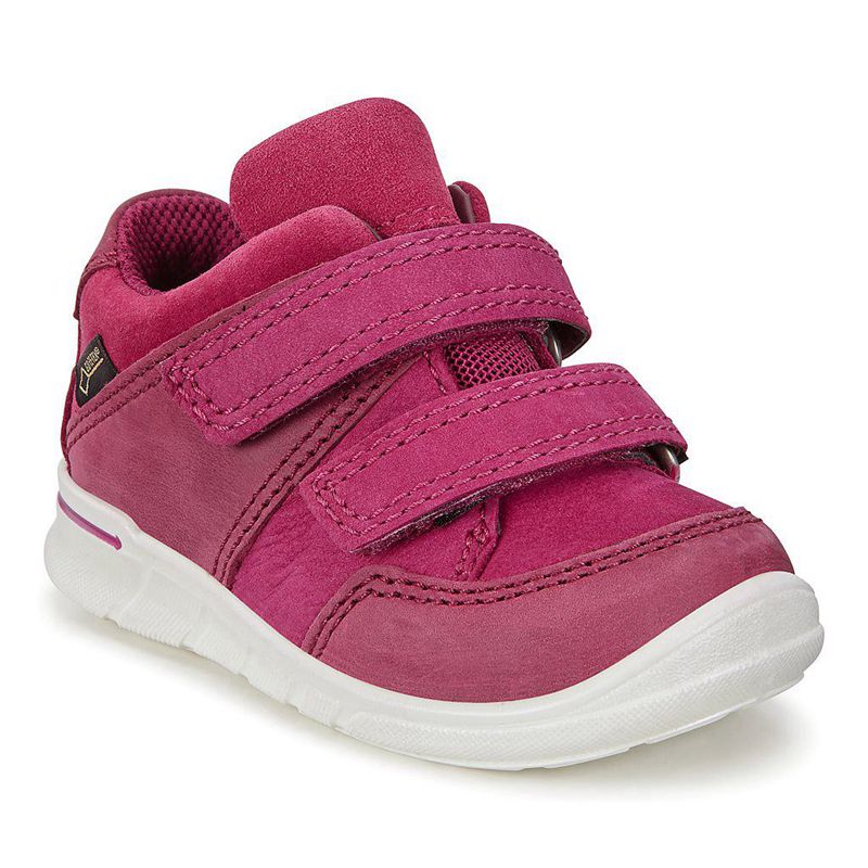 Zapatos Para Bebé Ecco First Para Niños,Rosas,482630-AON